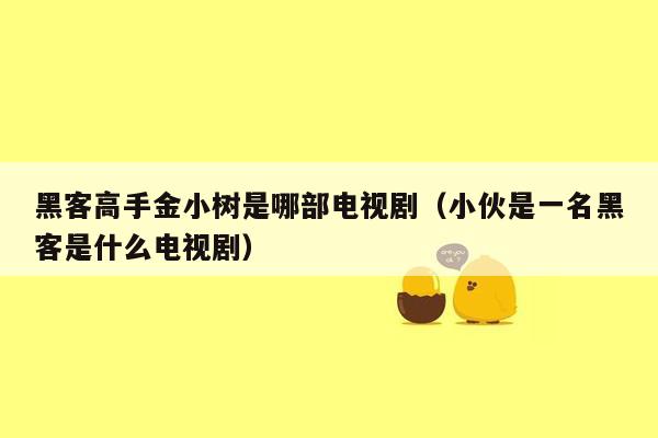 黑客高手金小树是哪部电视剧（小伙是一名黑客是什么电视剧）