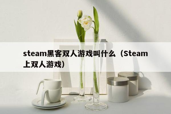 steam黑客双人游戏叫什么（Steam上双人游戏）