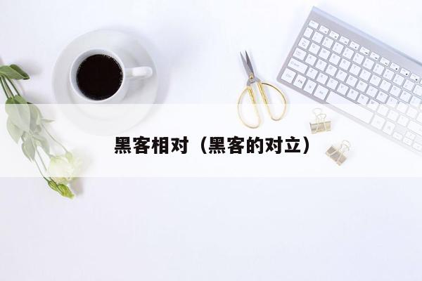 黑客相对（黑客的对立）