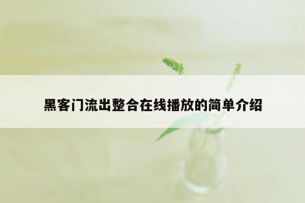 黑客门流出整合在线播放的简单介绍