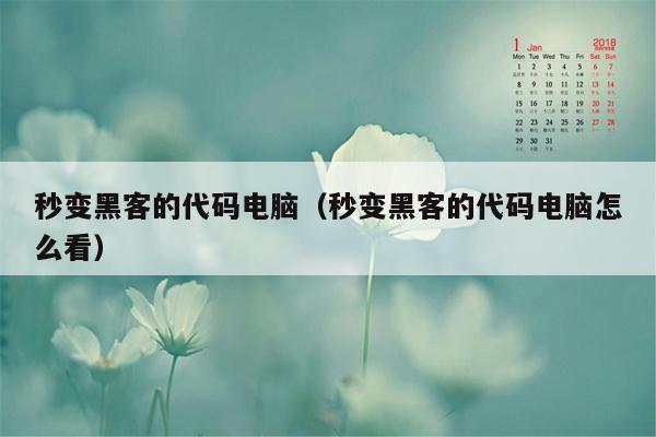 秒变黑客的代码电脑（秒变黑客的代码电脑怎么看）