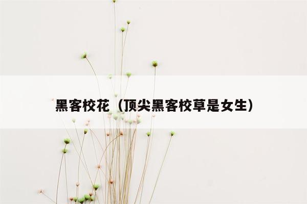 黑客校花（顶尖黑客校草是女生）