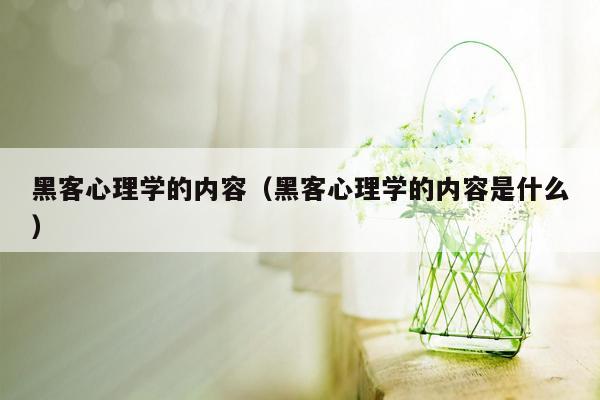 黑客心理学的内容（黑客心理学的内容是什么）