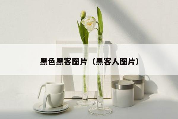 黑色黑客图片（黑客人图片）