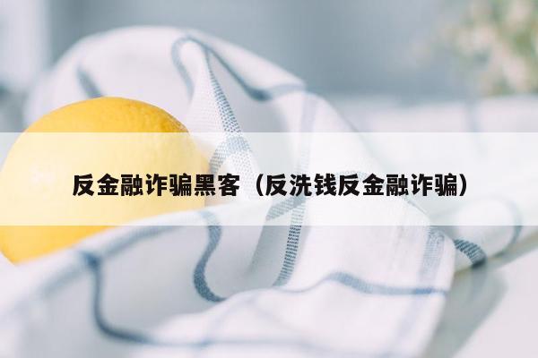 反金融诈骗黑客（反洗钱反金融诈骗）