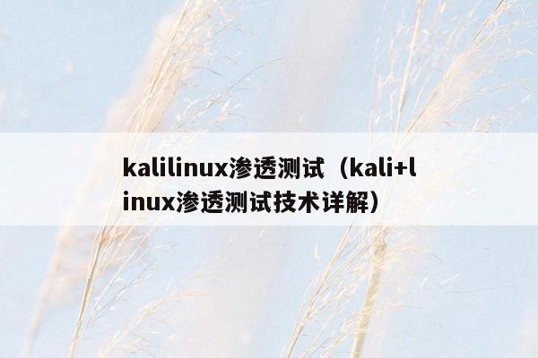 kalilinux渗透测试（kali+linux渗透测试技术详解）