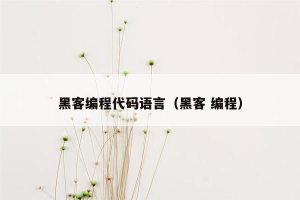 黑客编程代码语言（黑客 编程）