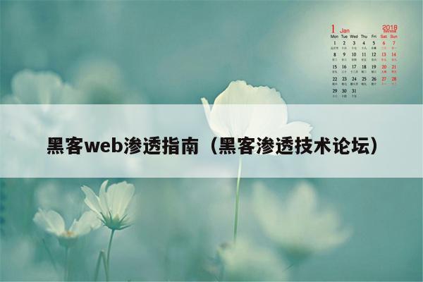 黑客web渗透指南（黑客渗透技术论坛）