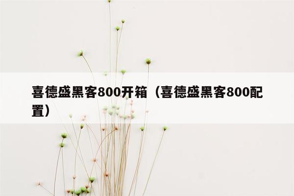 喜德盛黑客800开箱（喜德盛黑客800配置）