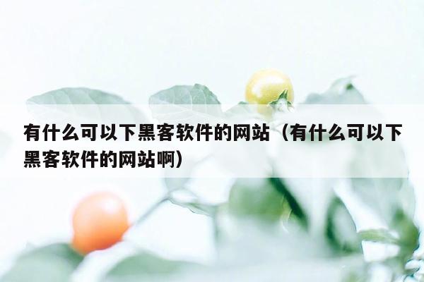 有什么可以下黑客软件的网站（有什么可以下黑客软件的网站啊）