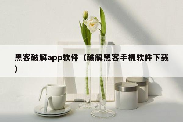 黑客破解app软件（破解黑客手机软件下载）