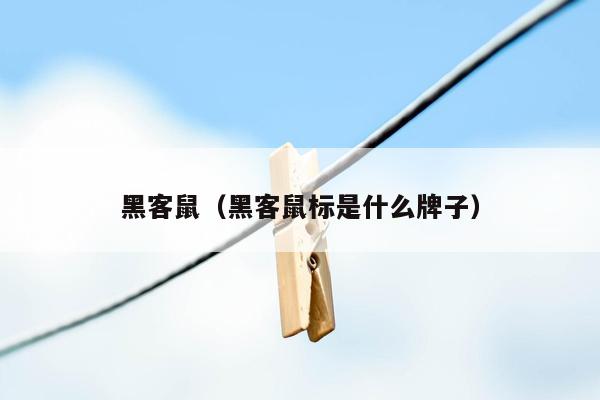 黑客鼠（黑客鼠标是什么牌子）