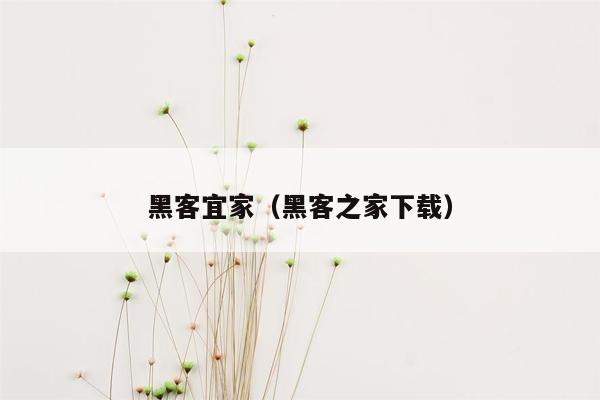 黑客宜家（黑客之家下载）