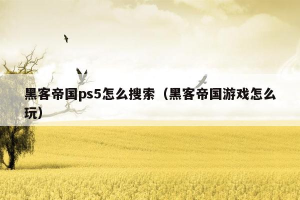 黑客帝国ps5怎么搜索（黑客帝国游戏怎么玩）