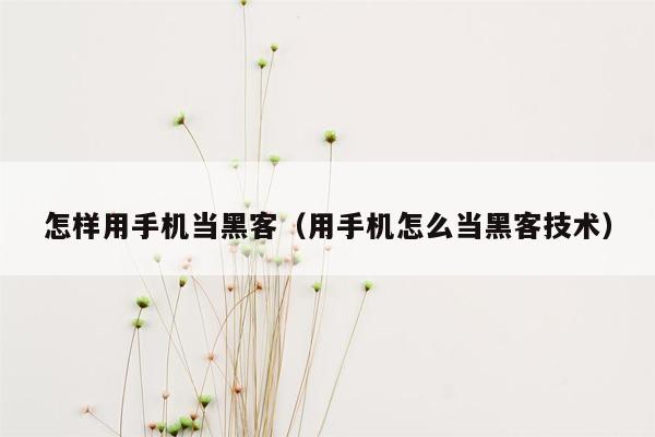 怎样用手机当黑客（用手机怎么当黑客技术）