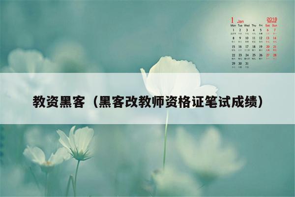 教资黑客（黑客改教师资格证笔试成绩）