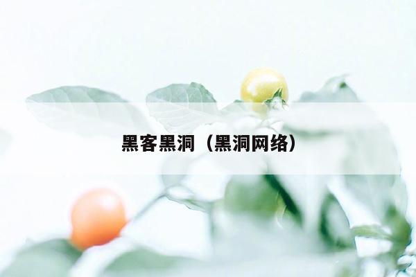 黑客黑洞（黑洞网络）