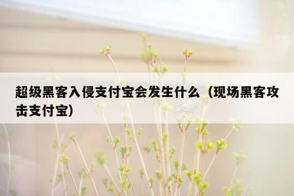 超级黑客入侵支付宝会发生什么（现场黑客攻击支付宝）