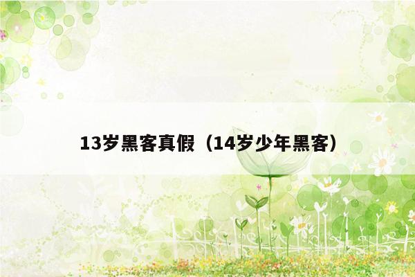 13岁黑客真假（14岁少年黑客）