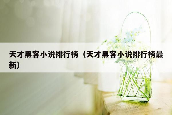 天才黑客小说排行榜（天才黑客小说排行榜最新）