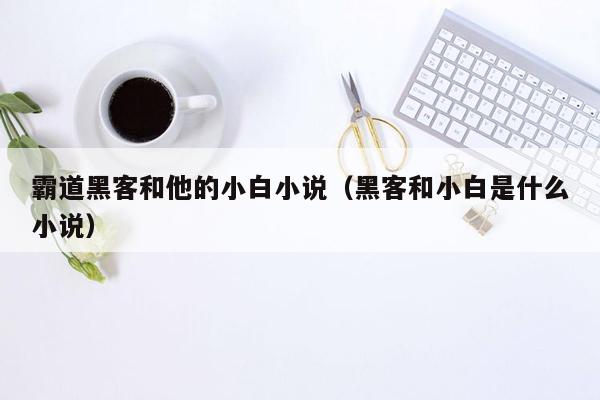 霸道黑客和他的小白小说（黑客和小白是什么小说）