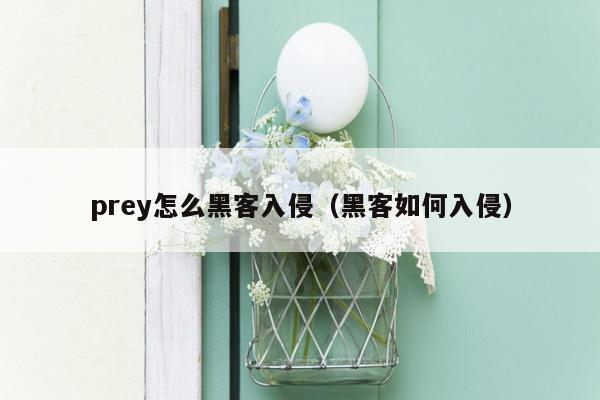 prey怎么黑客入侵（黑客如何入侵）