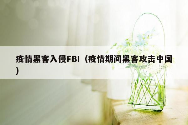 疫情黑客入侵FBI（疫情期间黑客攻击中国）