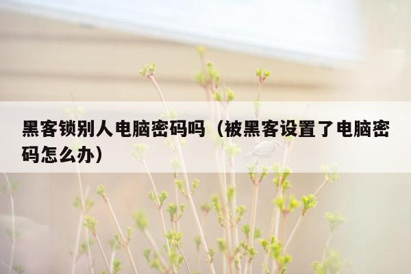 黑客锁别人电脑密码吗（被黑客设置了电脑密码怎么办）