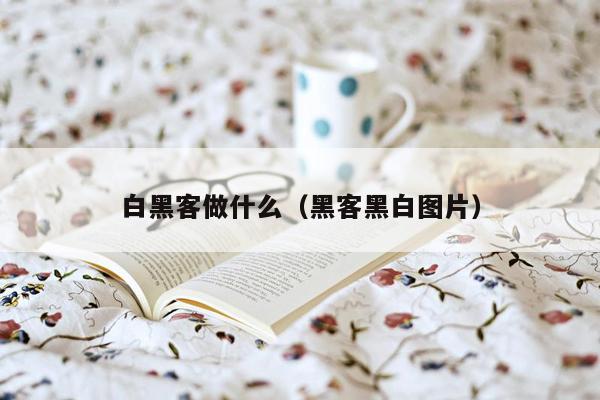 白黑客做什么（黑客黑白图片）