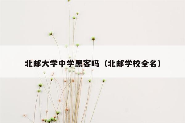 北邮大学中学黑客吗（北邮学校全名）