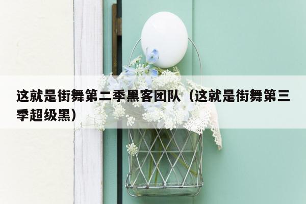 这就是街舞第二季黑客团队（这就是街舞第三季超级黑）