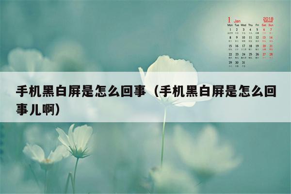 手机黑白屏是怎么回事（手机黑白屏是怎么回事儿啊）