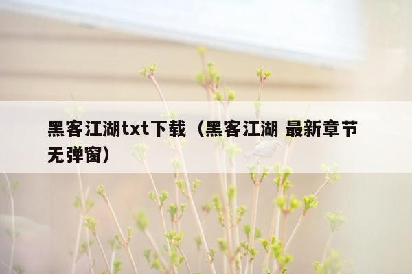 黑客江湖txt下载（黑客江湖 最新章节 无弹窗）